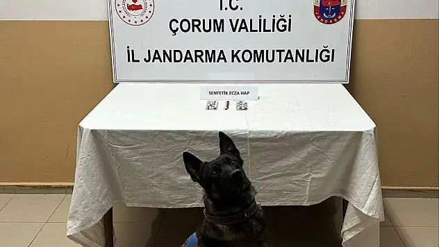 Çorum'da Uyuşturucu Hapla Yakalanan 3 Kişi Gözaltına Alındı