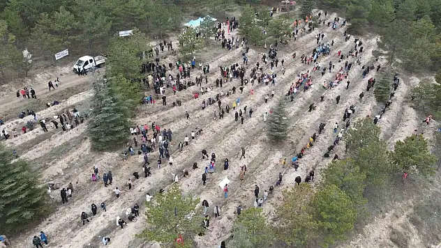 Çorum'da Yüzlerce Fidan Toprakla Buluştu