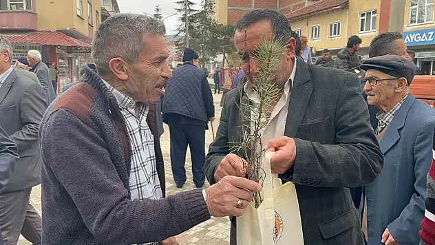 İhsangazi'de 4 Bin Ağaç Fidanı Dağıtıldı