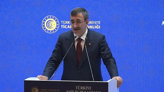 Cumhurbaşkanı Yardımcısı Yılmaz: 'Enflasyonda 20'li Rakamları Göreceğiz'