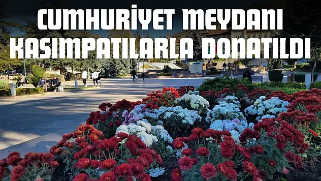 Cumhuriyet Meydanı Kasımpatılarla Donatıldı