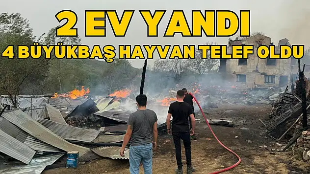 Daday'da 2 Ev Yandı, 4 Büyükbaş Hayvan Telef Oldu