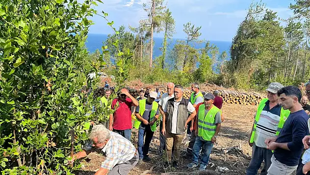 Defne Sürgünü Üretim Tatbikatı Düzenlendi