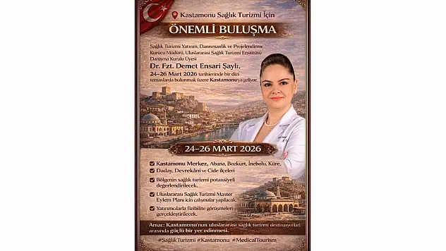Demet Ensari Şaylı, Kastamonu'da Temaslarda Bulunacak
