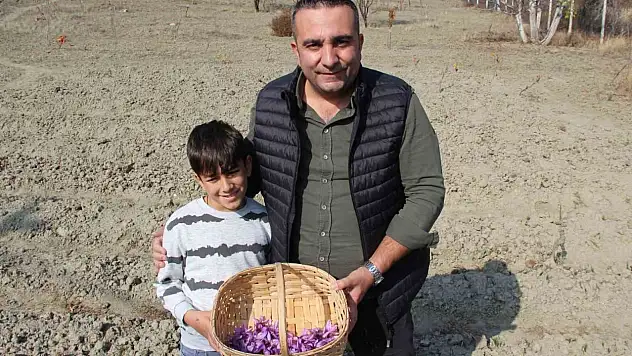 Dünyanın En Pahalı Baharatını Yetiştirdi