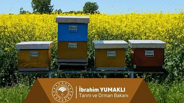 Destek Ödemesi Çiftçilerin Hesaplarına Aktarılıyor
