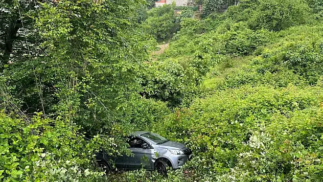 Direksiyon Hakimiyetini Kaybetti, Şarampole Devrildi