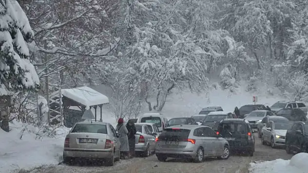 Doğa harikası İçin Trafik Kilitlendi