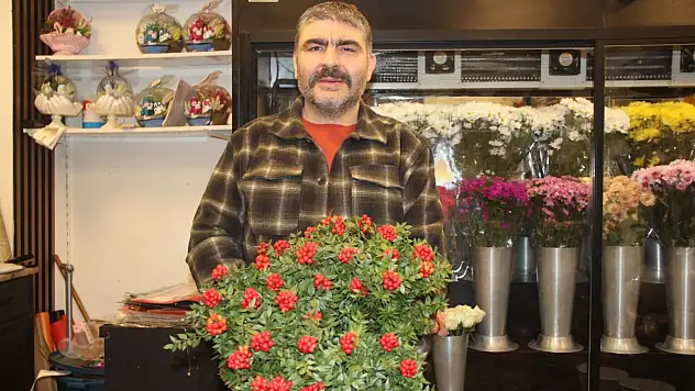 Doğanın Ve Emeğin Buluştuğu Güzellik