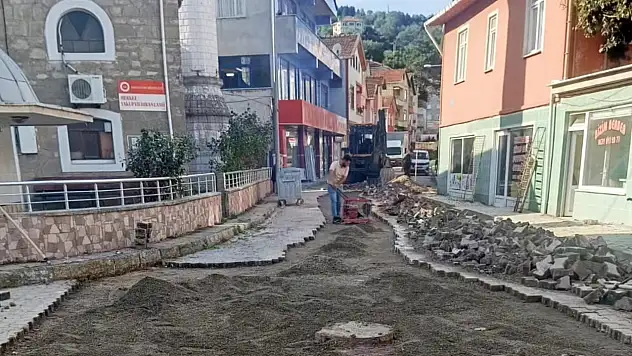 Doğanyurt'ta Parke Çalışmaları Başladı