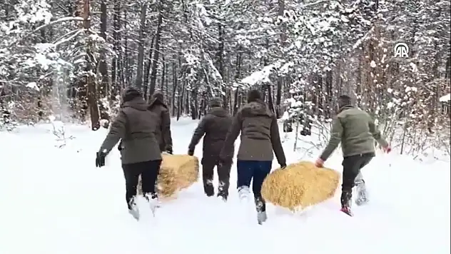 Doğaya Yem Bırakıldı