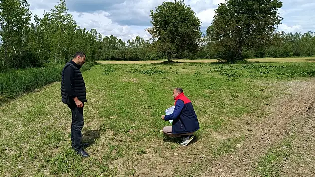 Dokuzkat Köyünde Yem Bitkileri İncelendi