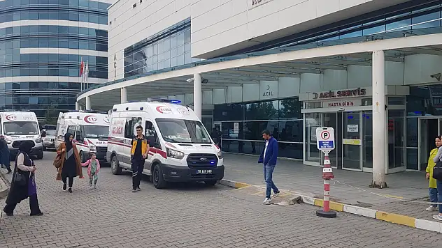 Domuz zannettiği yengesini ağır yaraladı