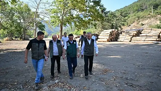 DSİ Ve Orman Bölge Müdürlüğü Devrek'te Sahaya İndi