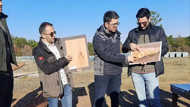 Eğitimlere Hanönü'de Devam Edildi
