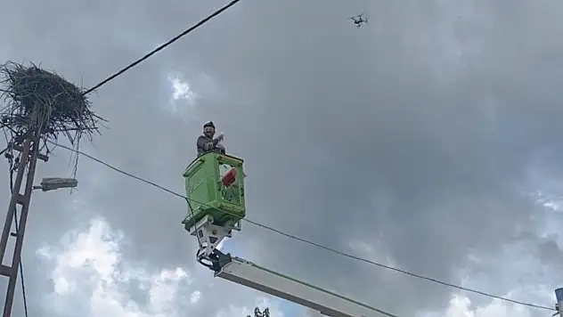 Ekipler, ayaklarına bandaj dolanan leylek için seferber oldu