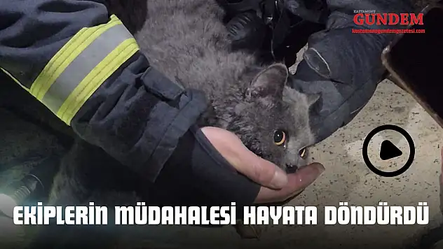Ekiplerin Müdahalesi Hayata Döndürdü
