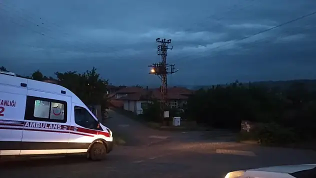 Elektrik Akımına Kapıldılar