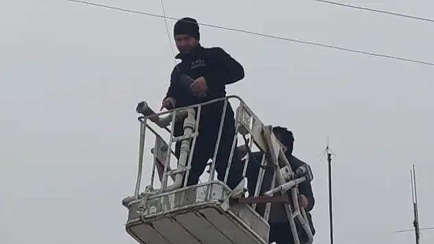 Kurtarılan Güvercin Doğaya Salındı
