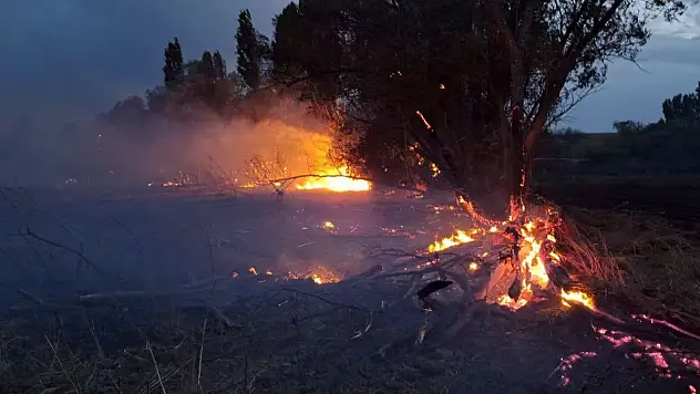 Çıkan Kıvılcımlar Saman Balyaları ve Ağaçları Kül Etti