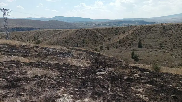 Çıkan Yangın Araziye Sıçradı