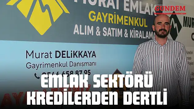 Emlak Sektörü Kredilerden Dertli