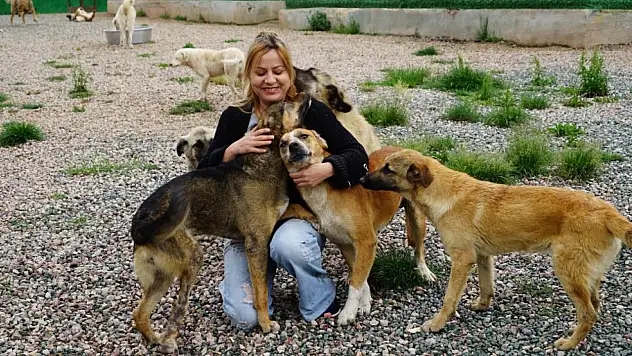Engelli hayvanlardan etkilendi, bakımevi kurdu