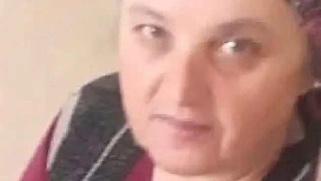 Eşek arısı sokan kadın hayatını kaybetti