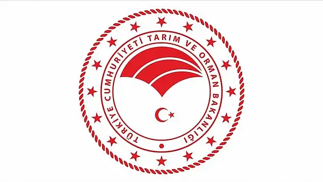 Etiketlerde Aldatıcı İfadeye Yasak: Yeni Dönem Başladı!