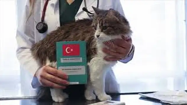 Evcil Hayvanlar İçin Mikroçip Uyarısı