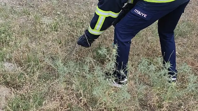Eve Giren Yılan İtfaiyeyi Seferber Etti