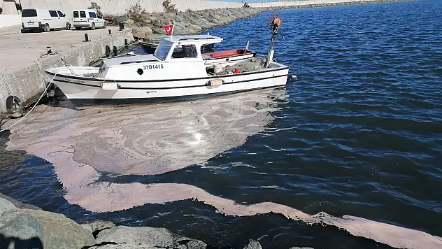 Evrenye Limanı'nı Kötü Koku Sardı