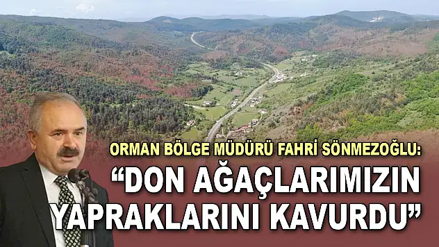Fahri Sönmezoğlu: 'Don Ağaçlarımızın Açan Yapraklarını Kavurdu'