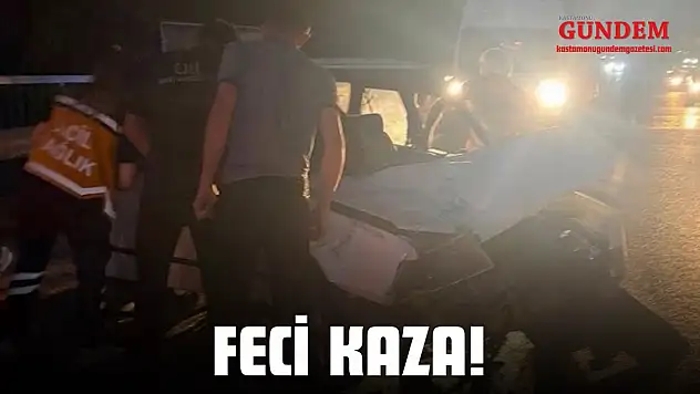 Feci Kaza!