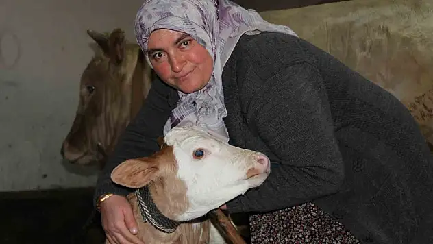 Fedakar Anne: 'Hayvanlarını Besleyip Ailesine Destek Oluyor'