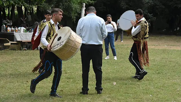 Festival gibi piknik