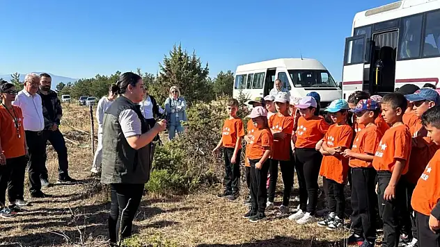 Fidan Dikimi Yapıldı