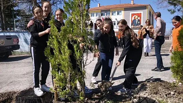 Fidan Dikimleri Sürüyor