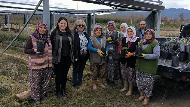 Fidanlar Ehline Emanet