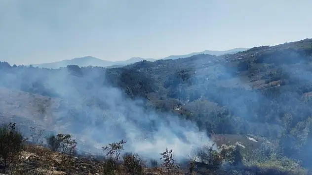 Fındık bahçesinden yangın!