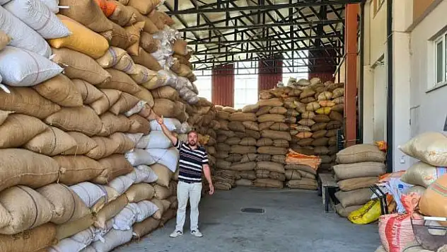 Fındık yüzleri güldürüyor