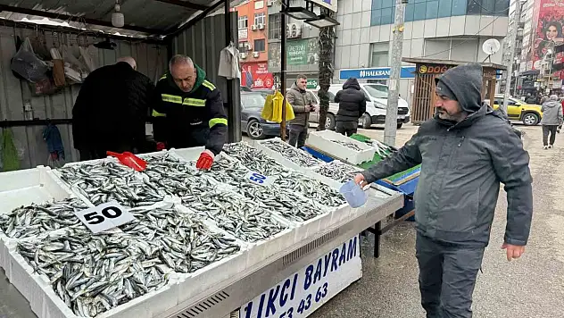 Fiyatı Düşen İstavrite Yoğun İlgi