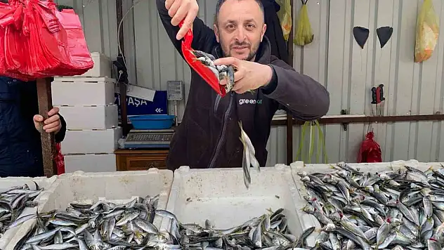 Balığa Olan İlgi Azaldı