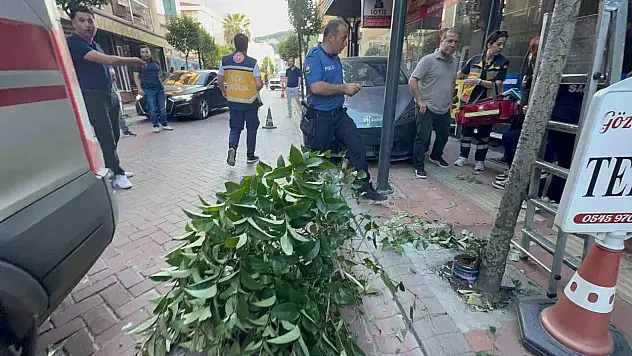 Fren yerine gaza bastı: İki ağacı devirip, duvara çarptıktan sonra durabildi