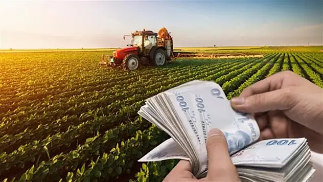 Genç Girişimciler Kurulum Hibesi'ne Başvurular Başladı