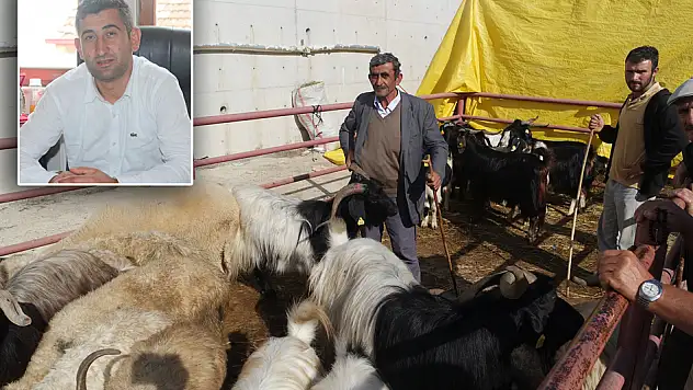 Gençlerin şehre göçü, hayvancılığı etkiliyor