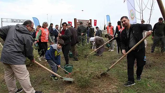 Şehit Orman Görevlileri Anısına Fidan Dikildi