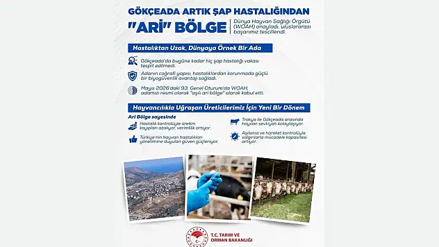 Gökçeada 'Aşılı Ari Bölge' Olarak Tescillendi