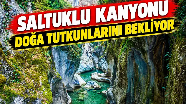 Güzelliğiyle Mest Ediyor