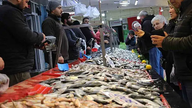 Hamsiye Rağbet Arttı